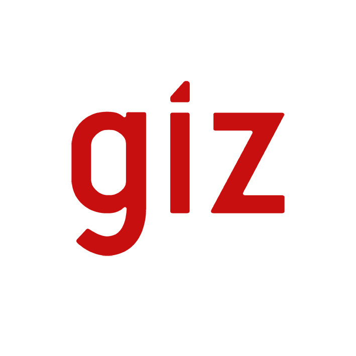 Deutsche Gesellschaft für Internationale Zusammenarbeit GmbH